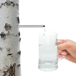 75513ac2348507fc4dffd9f4426c3de6