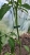 8cf8a76ce3314efb26fab03139c43cae.jpg
